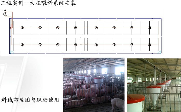 料线布置图与现场使用